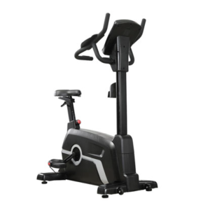 Upright Bike CC-10